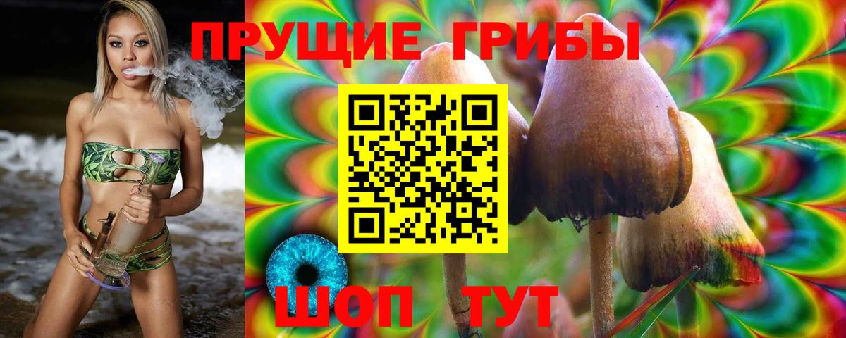 хочу наркоту  Псилоцибиновые грибы Psilocybe  Галлюциногенные грибы MAGIC MUSHROOMS  Вход с VPN  Котовск 